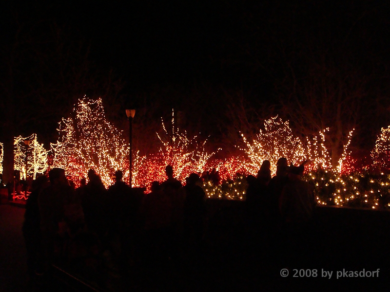 034 Toledo Zoo Light Show [2008 Dec 27].JPG - Scenes from the Toledo Zoo Light Show.